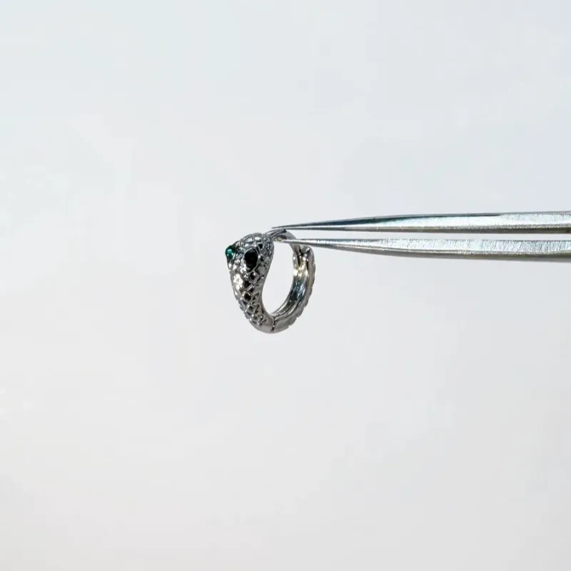 ZWU Titanium Steel Earrings Unisex-3