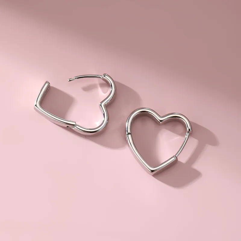 ZWU 925 Sterling Silver Earrings Unisex-2