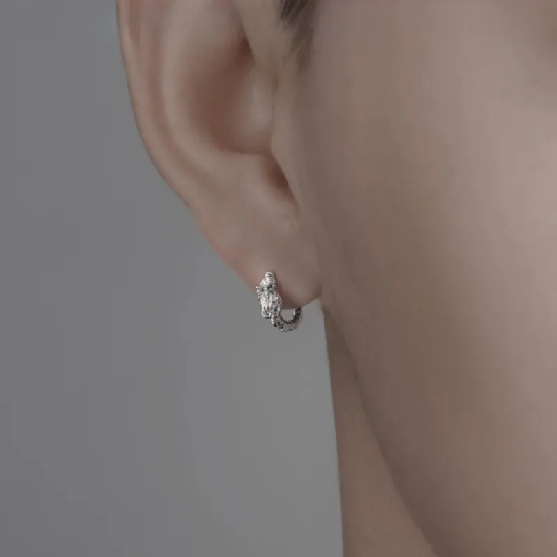 ZWU S925 Silver Earrings Unisex-2