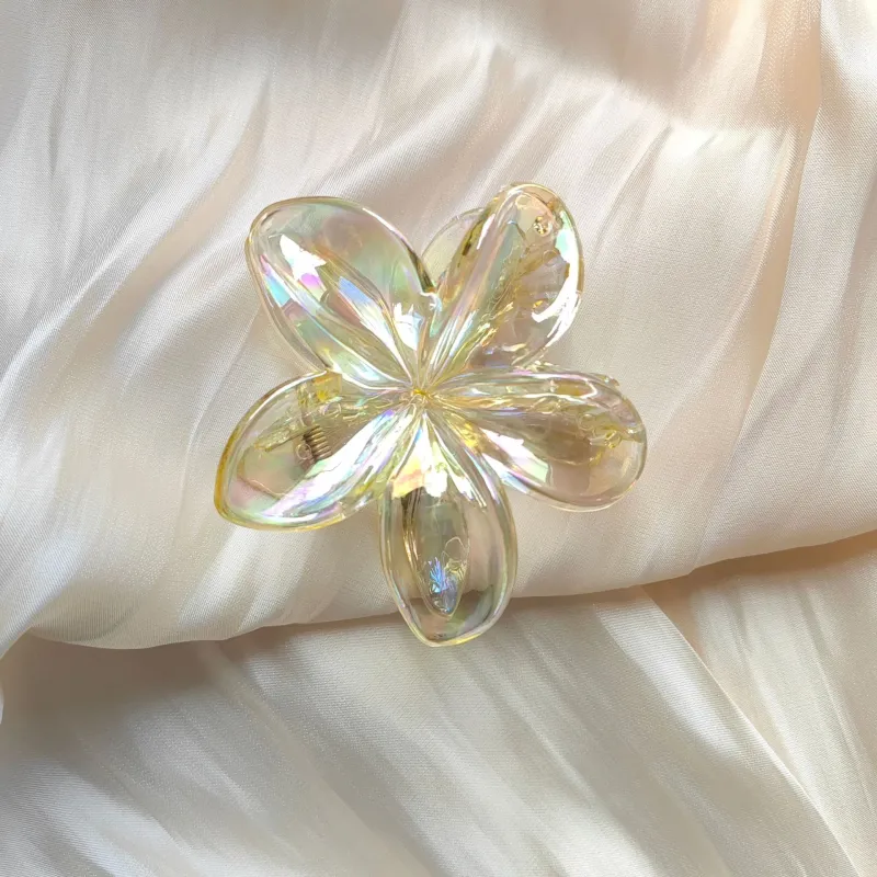 Specialoutlook Acrylic Hair Clips Women's-6