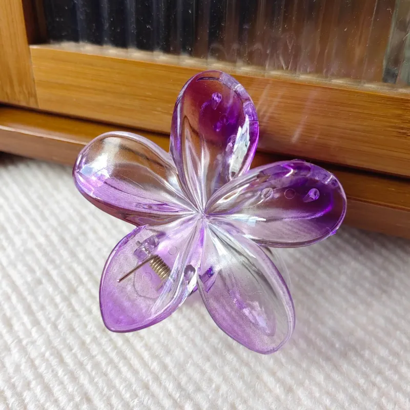 Specialoutlook Acrylic Hair Clips Women's-16
