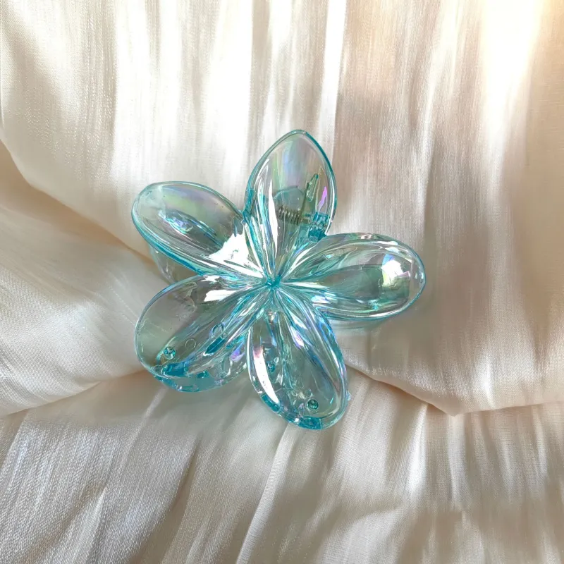 Specialoutlook Acrylic Hair Clips Women's-10