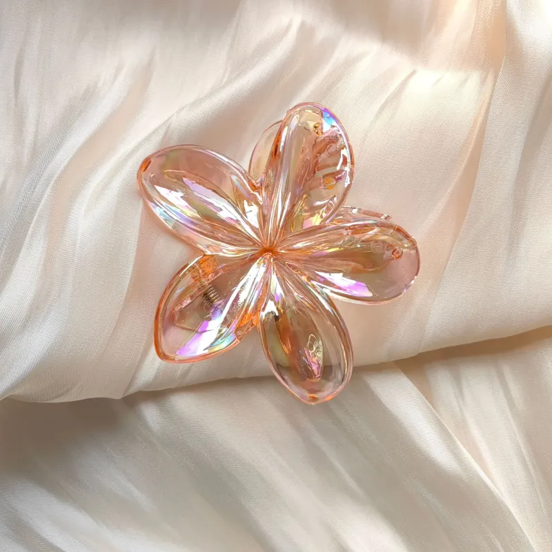 Specialoutlook Acrylic Hair Clips Women's-8