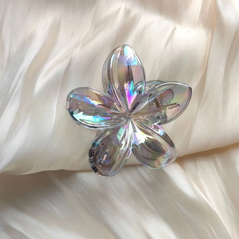 Specialoutlook Acrylic Hair Clips Women's-1