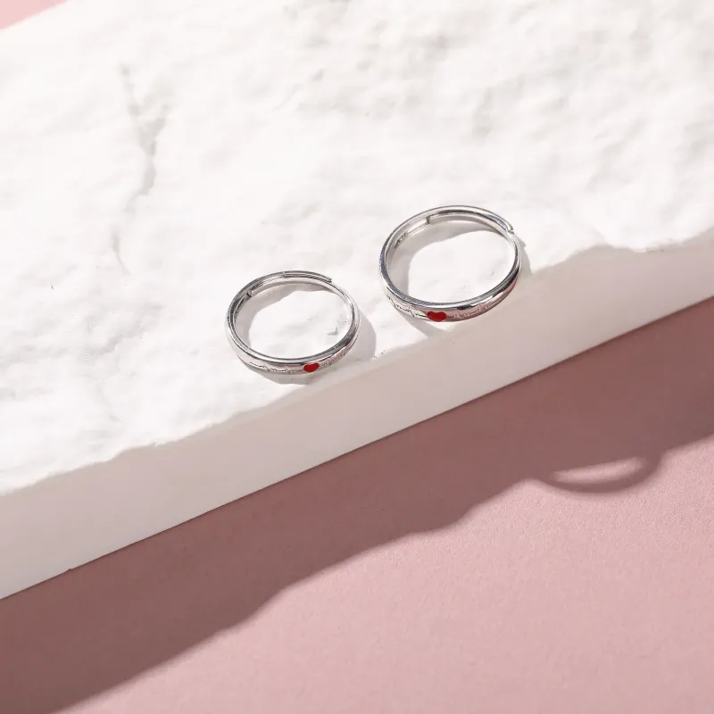 Vegetarian S925 Silver Rings Unisex-4