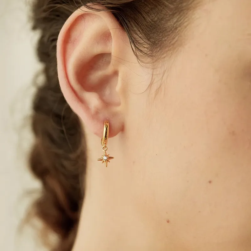 Vegetarian Alloy Earrings Men's-7