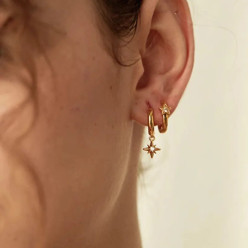 Vegetarian Alloy Earrings Men's-5