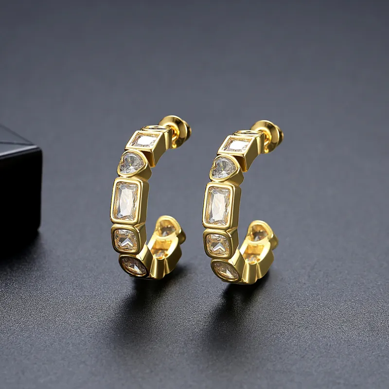 Vegetarian Titanium Steel Earrings Women's-2