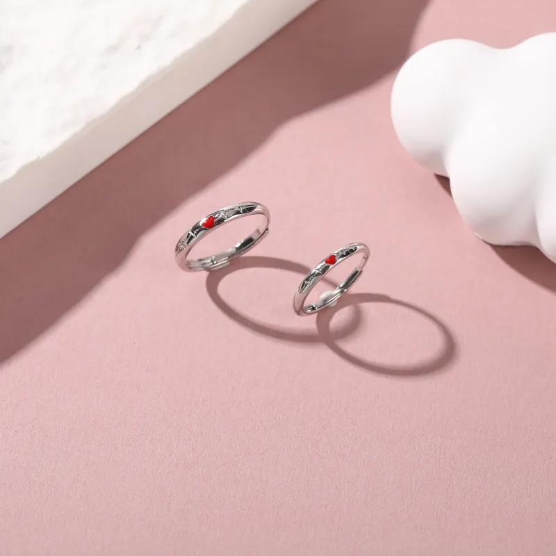 Vegetarian S925 Silver Rings Unisex-5