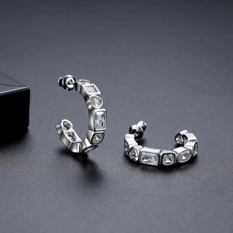 Vegetarian Titanium Steel Earrings Women's-3