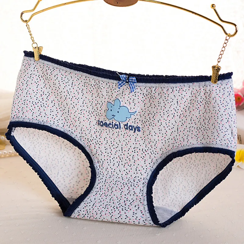 Flowers In Water Underpants Women's 5 Pack-1