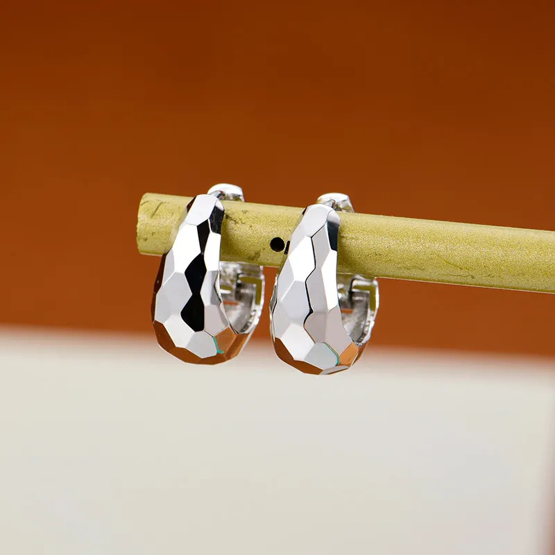 Wear The Silver S925 Silver Earrings Women's-2