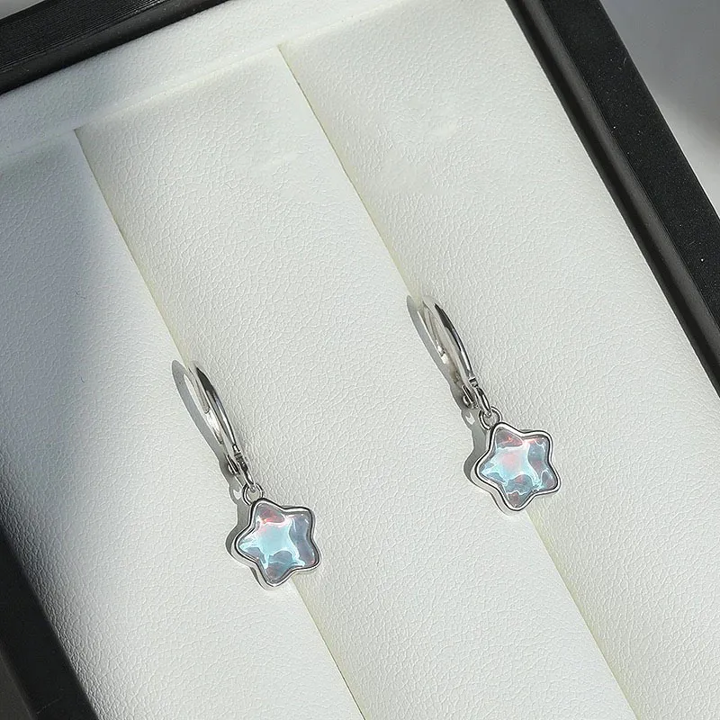 Schloney S925 Silver Earrings Women's-3