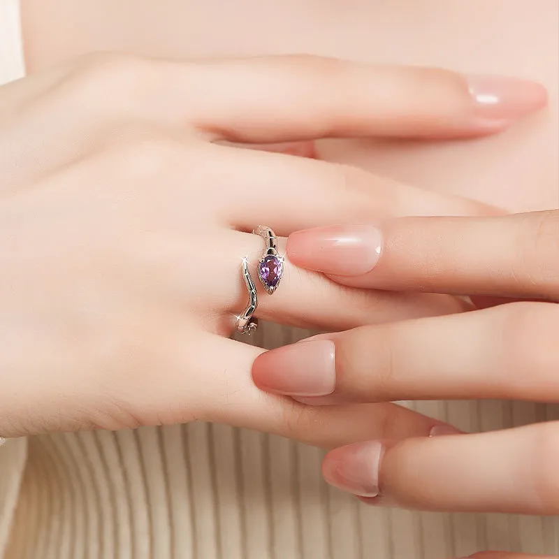 Schloney S925 Silver Rings Women's Gift Box Set-2