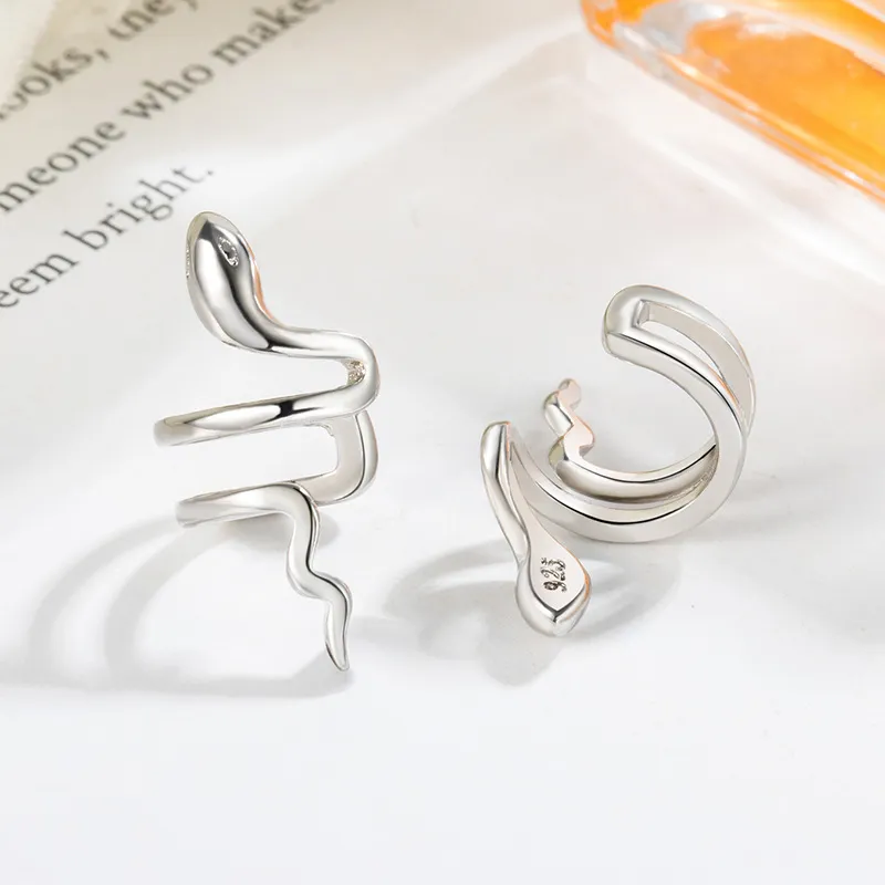 AEMC Alloy Clip On Earrings Unisex-1