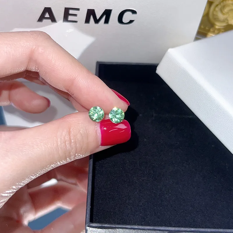 AEMC Alloy Stud Earrings Unisex-26