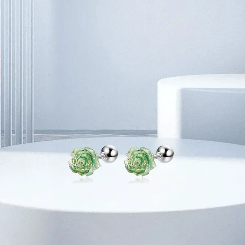 AEMC Titanium Steel Stud Earrings Unisex-22