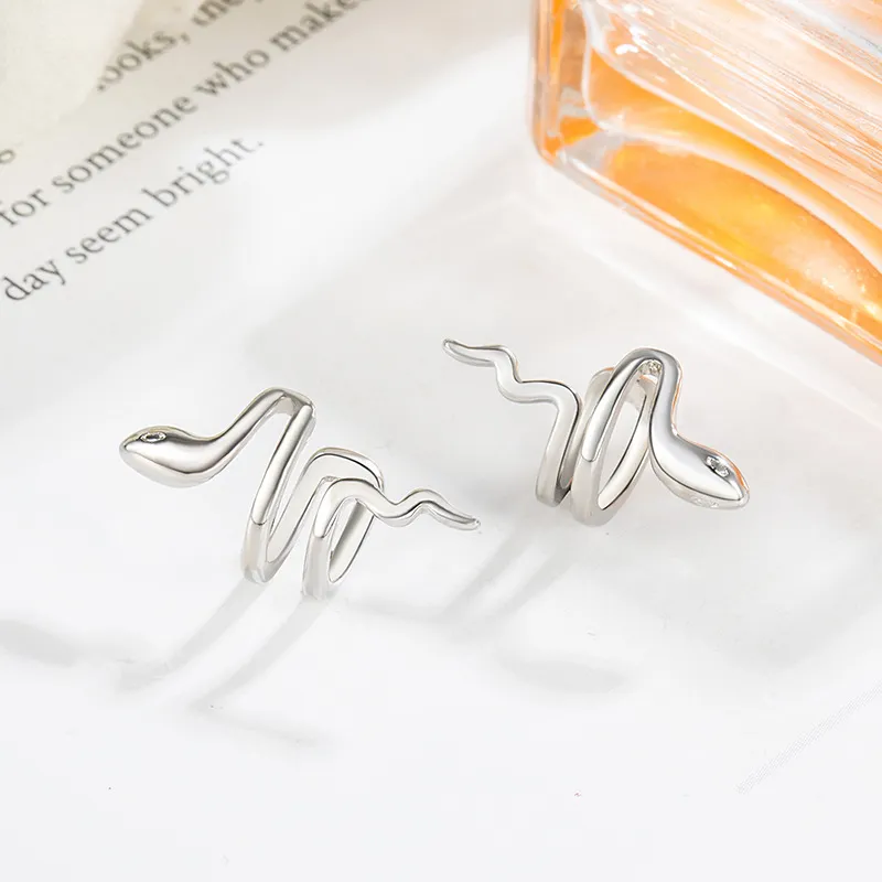 AEMC Alloy Clip On Earrings Unisex-2
