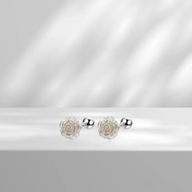 AEMC Titanium Steel Stud Earrings Unisex-26