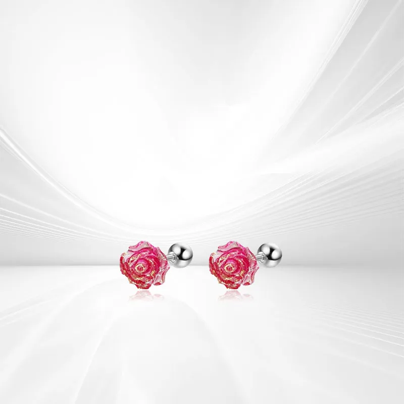 AEMC Titanium Steel Stud Earrings Unisex-14