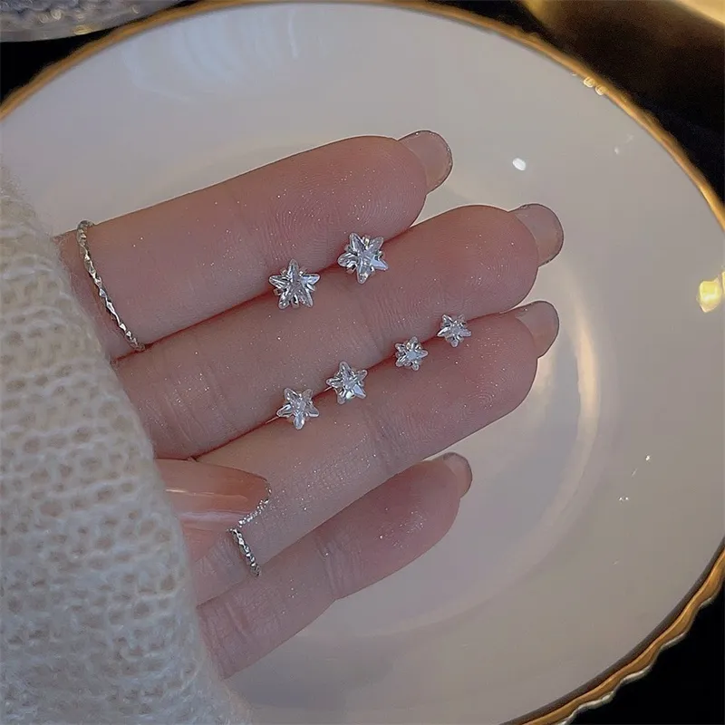 AEMC Alloy Stud Earrings Unisex-13