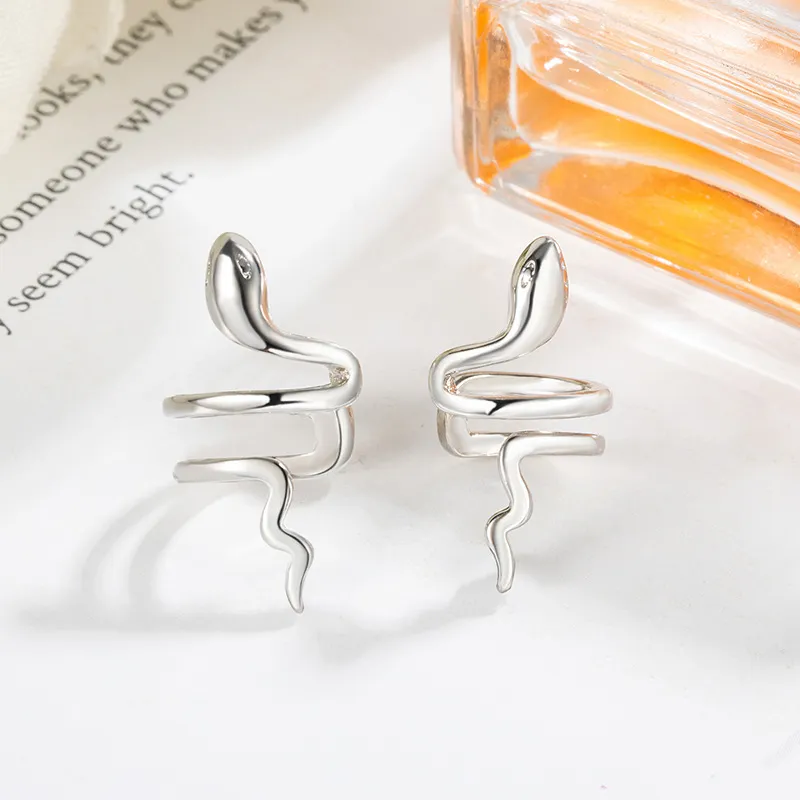 AEMC Alloy Clip On Earrings Unisex-4