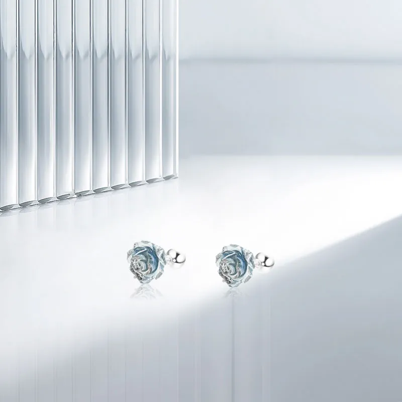 AEMC Titanium Steel Stud Earrings Unisex-32