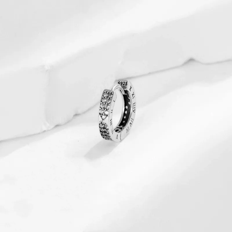 AEMC S925 Silver Earrings Unisex-6