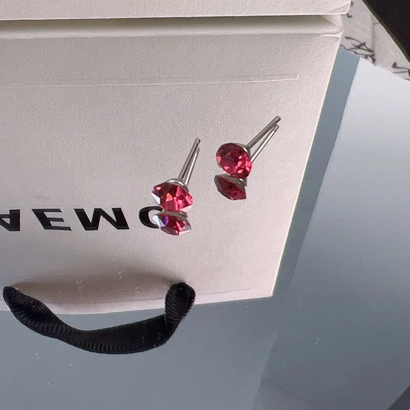 AEMC Alloy Stud Earrings Unisex-16