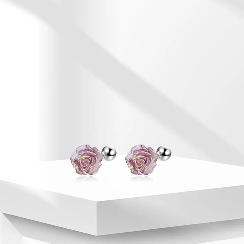 AEMC Titanium Steel Stud Earrings Unisex-18