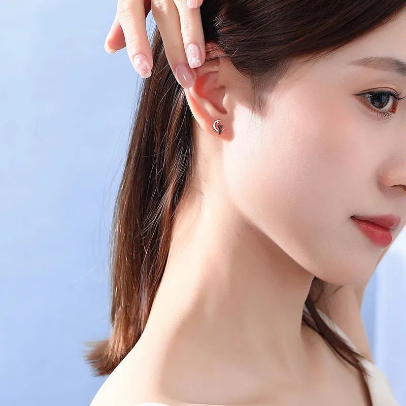 Princess Xuanjie 925 Sterling Silver Stud Earrings Unisex-1
