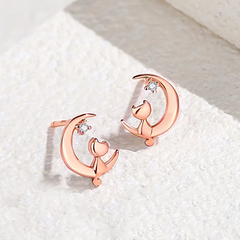 Princess Xuanjie 925 Sterling Silver Stud Earrings Unisex-5
