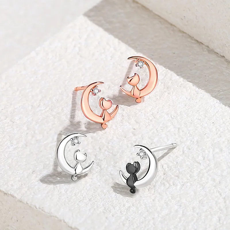 Princess Xuanjie 925 Sterling Silver Stud Earrings Unisex-6