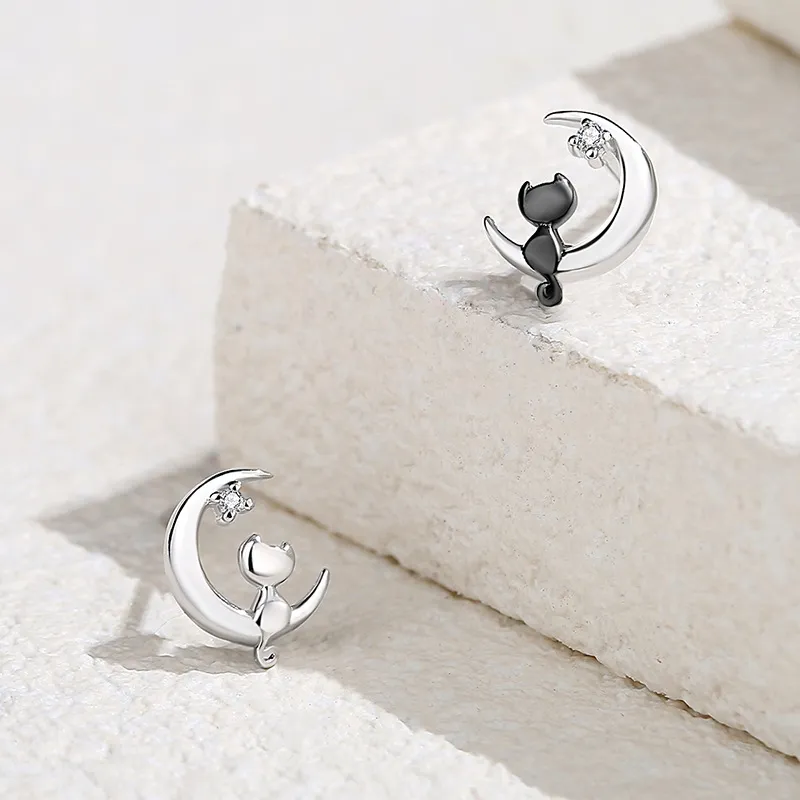 Princess Xuanjie 925 Sterling Silver Stud Earrings Unisex-3