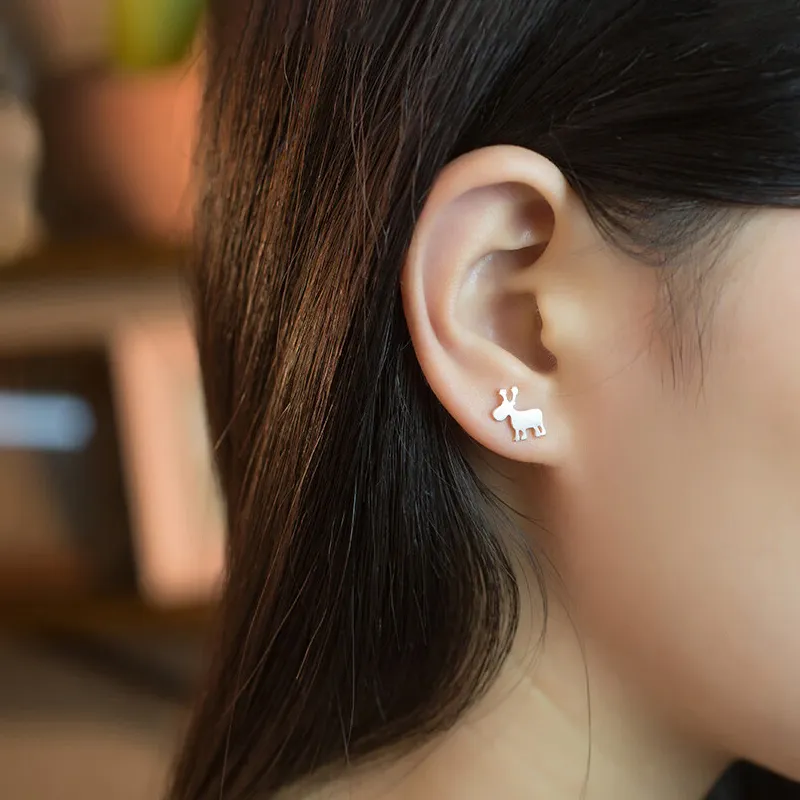AFN 925 Sterling Silver Stud Earrings Women's-5