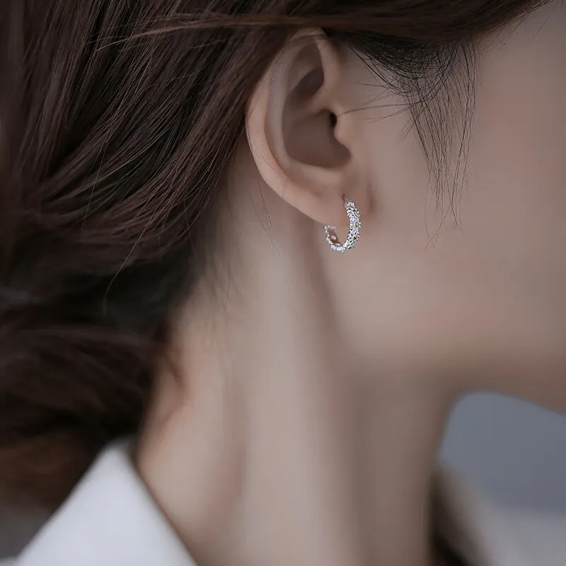 AFN 925 Sterling Silver Earrings Women's-4