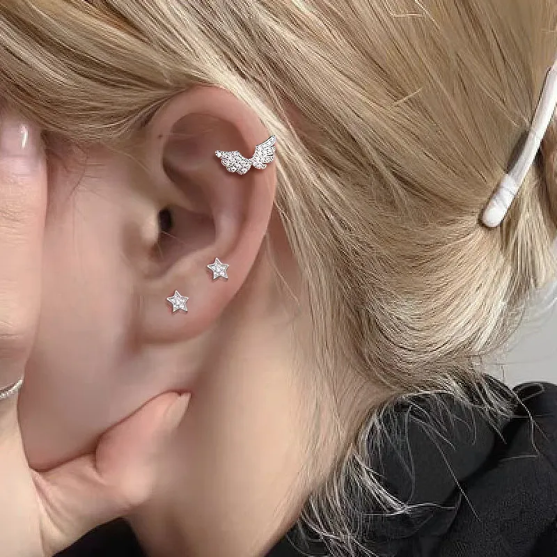 KING OF BLING Titanium Steel Zircon Stud Earrings Unisex Year Of The Snake Good Luck-7