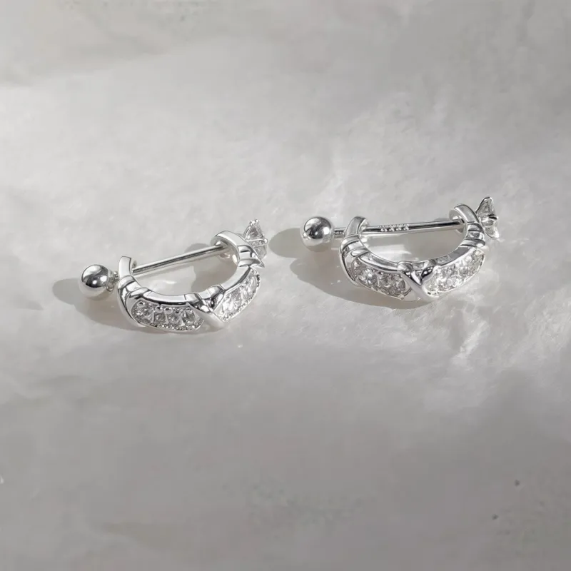 KING OF BLING Alloy With Zircon Earrings Unisex-1