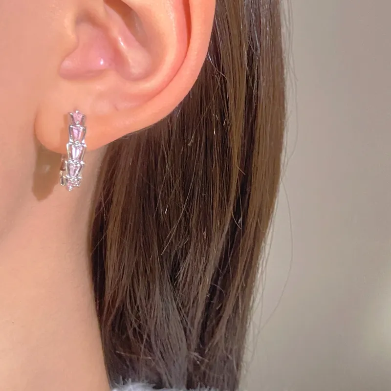 KING OF BLING Alloy With Zircon Stud Earrings Unisex Year Of The Snake Good Luck-4