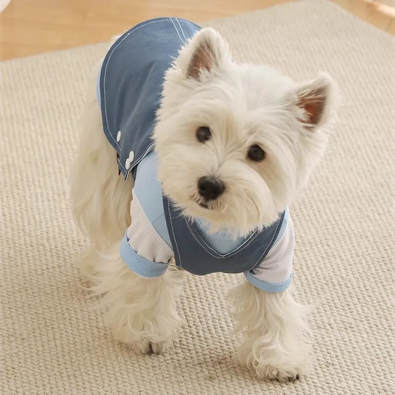 Disney Pet Clothing-6