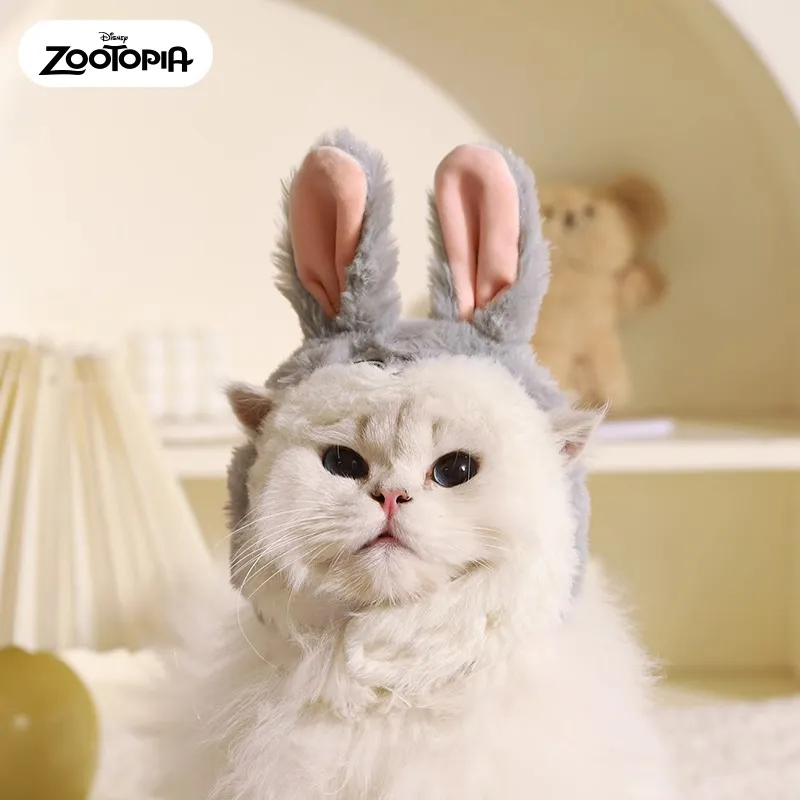 Disney Pet Clothing-2