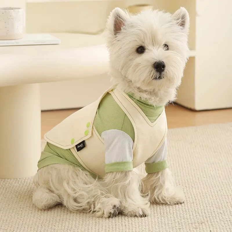 Disney Pet Clothing-2