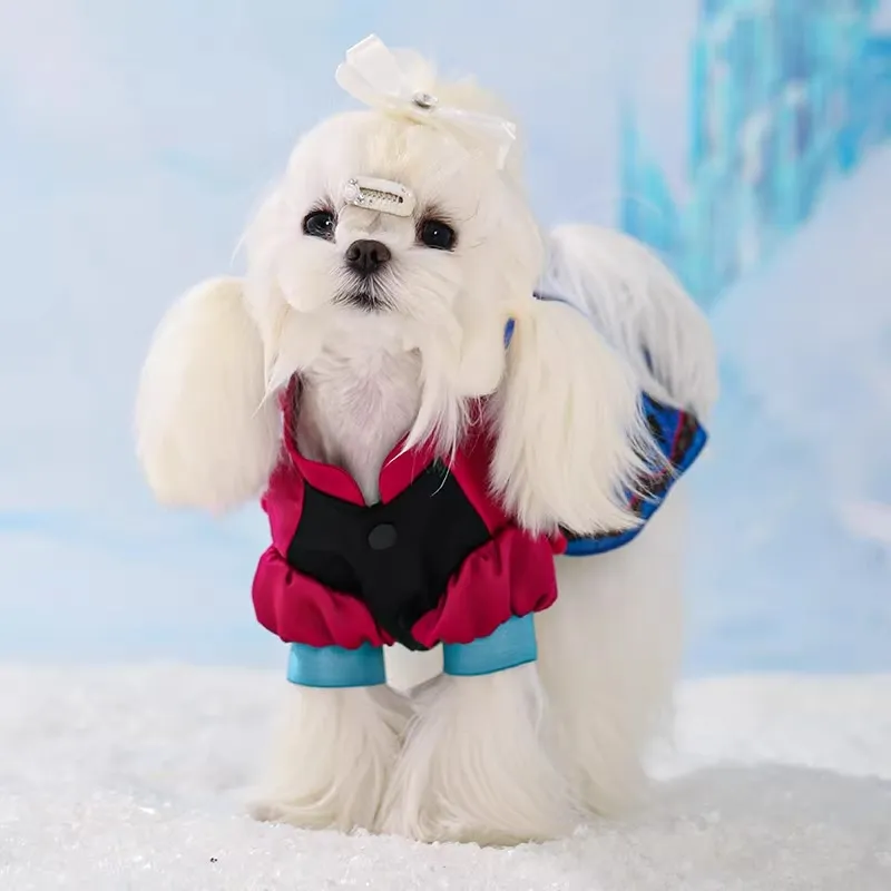 Disney Pet Clothing-7