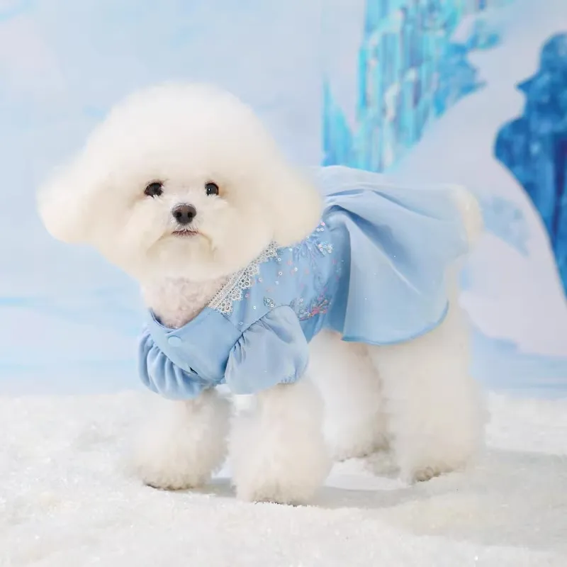 Disney Pet Clothing-2