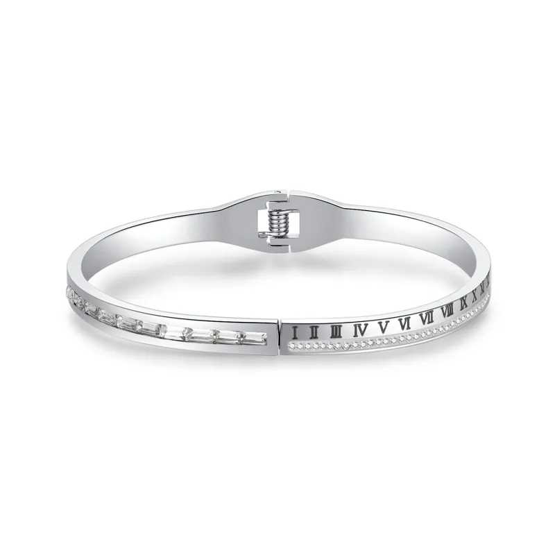 DH7 Titanium Steel Bangles Unisex-1