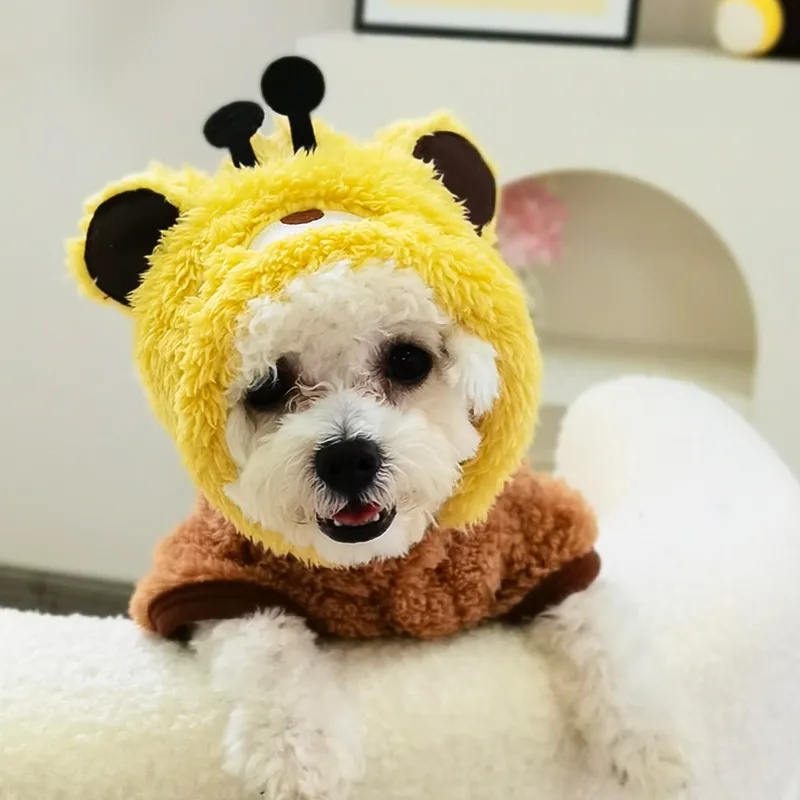 Pampering Pet Clothing-9