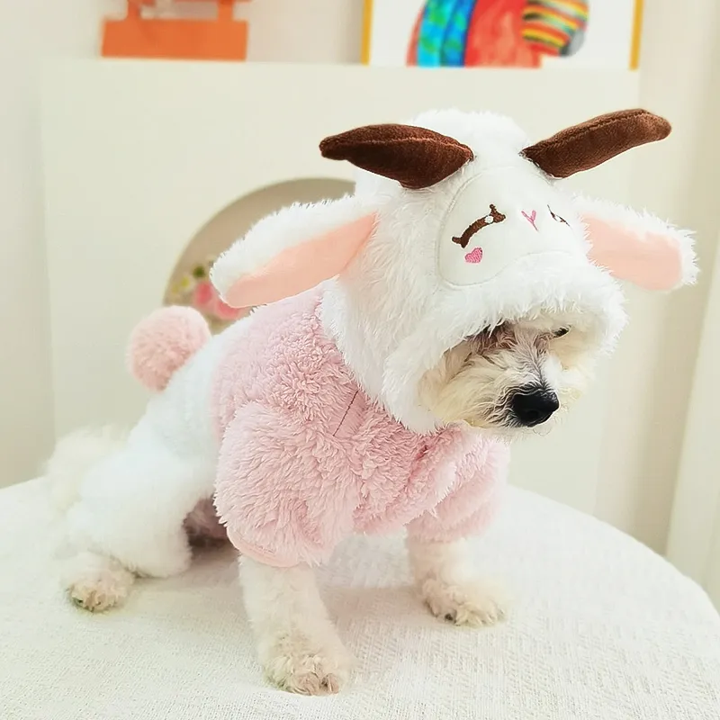 Pampering Pet Clothing-15