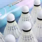 Badminton, Rainbow 7 7-Speed (10 Pack) 1 Tube