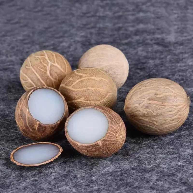 Memories Bodhi Root Rings Unisex-2