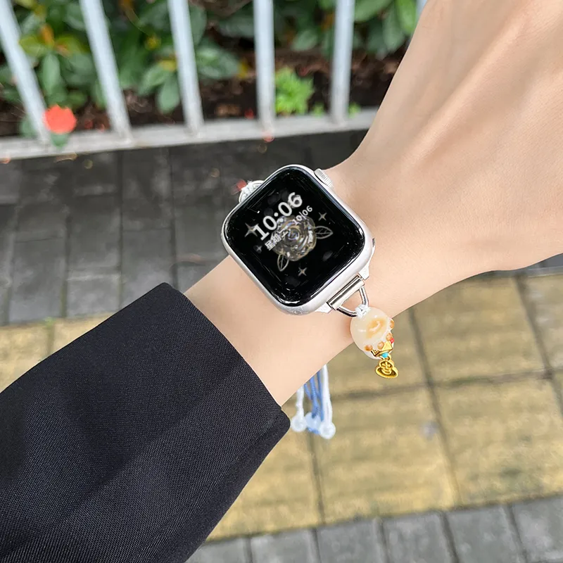 Fly Watch Band Apple Compatibility Bead Material-4